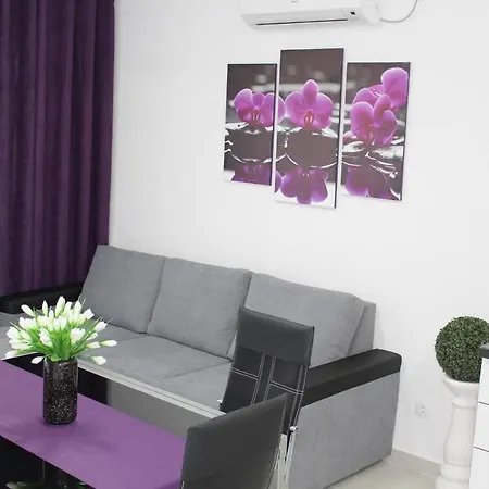 Cozy Di Apartment